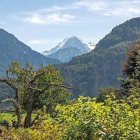 Salzano Basic Hotel Interlaken